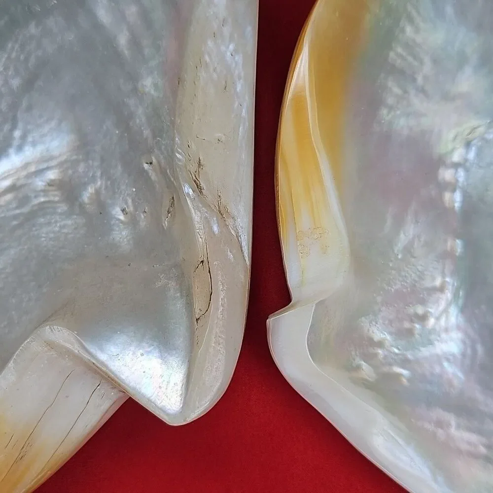 Mother of Pearl Caviar Snack Serving Plates & Knife Shell Polished Trinket